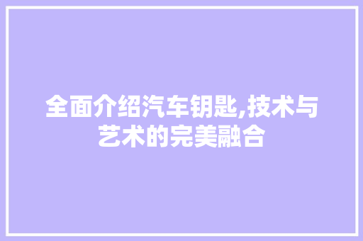 全面介绍汽车钥匙,技术与艺术的完美融合