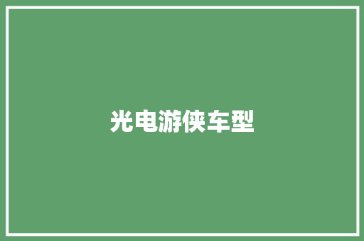 光电游侠车型