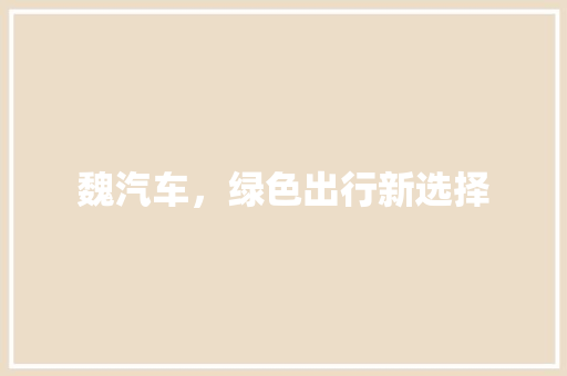 魏汽车，绿色出行新选择