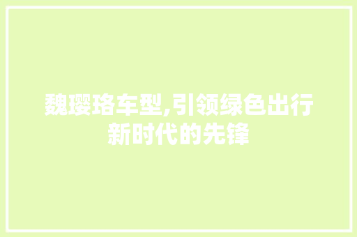 魏璎珞车型,引领绿色出行新时代的先锋
