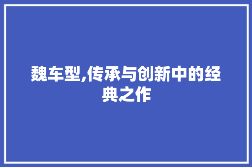 魏车型,传承与创新中的经典之作