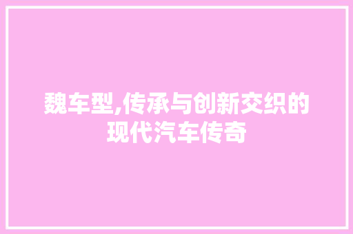 魏车型,传承与创新交织的现代汽车传奇