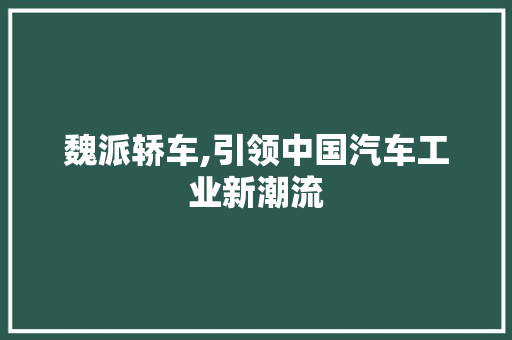 魏派轿车,引领中国汽车工业新潮流 新款车型