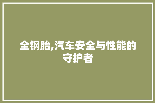 全钢胎,汽车安全与性能的守护者