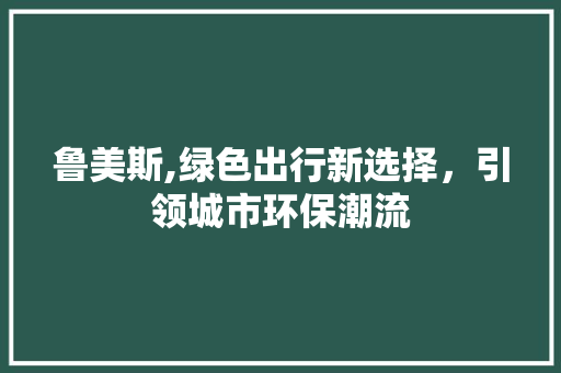 鲁美斯,绿色出行新选择，引领城市环保潮流 新能源汽车