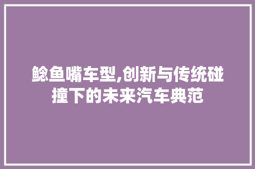 鲶鱼嘴车型,创新与传统碰撞下的未来汽车典范