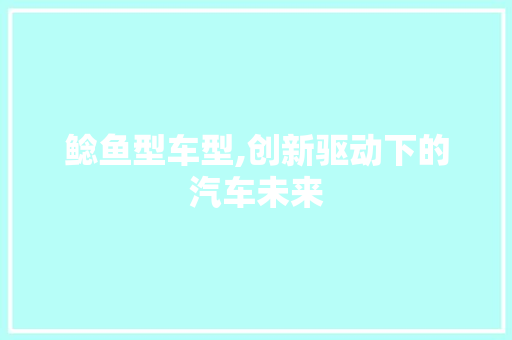 鲶鱼型车型,创新驱动下的汽车未来