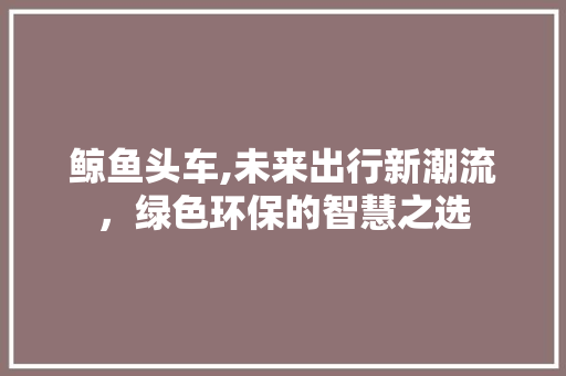 鲸鱼头车,未来出行新潮流，绿色环保的智慧之选
