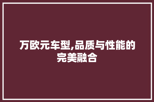 万欧元车型,品质与性能的完美融合