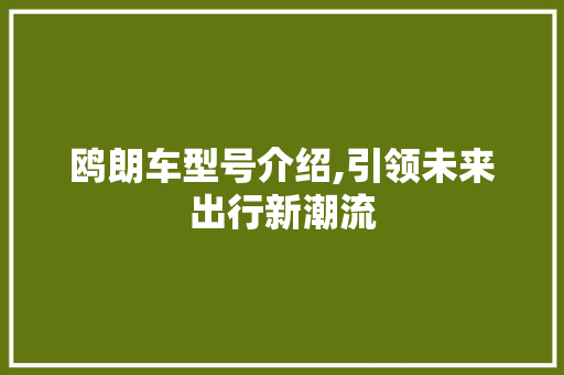 鸥朗车型号介绍,引领未来出行新潮流