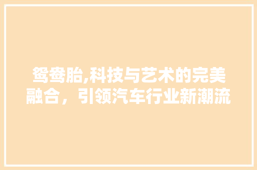 鸳鸯胎,科技与艺术的完美融合，引领汽车行业新潮流