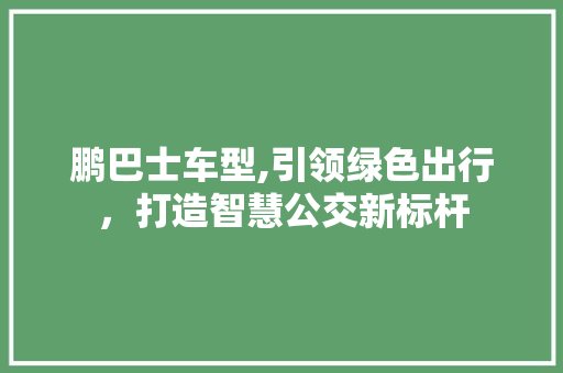 鹏巴士车型,引领绿色出行，打造智慧公交新标杆