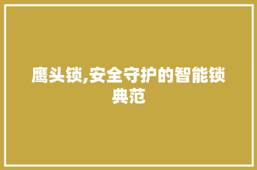 鹰头锁,安全守护的智能锁典范