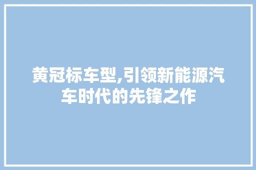 黄冠标车型,引领新能源汽车时代的先锋之作
