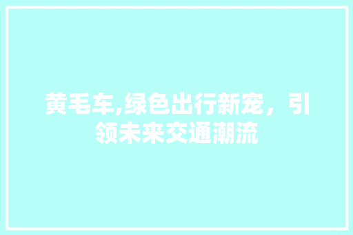 黄毛车,绿色出行新宠，引领未来交通潮流