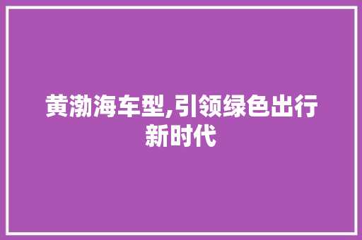 黄渤海车型,引领绿色出行新时代