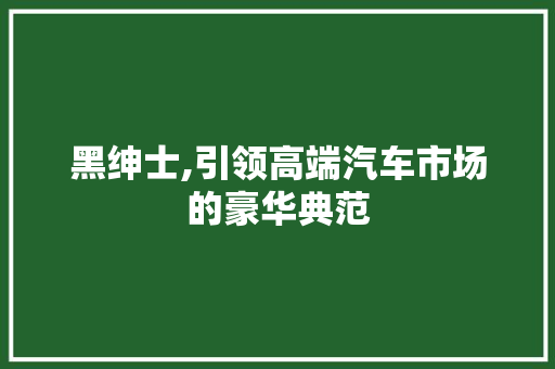 黑绅士,引领高端汽车市场的豪华典范