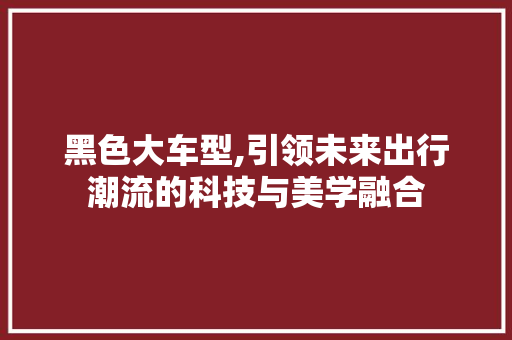 黑色大车型,引领未来出行潮流的科技与美学融合