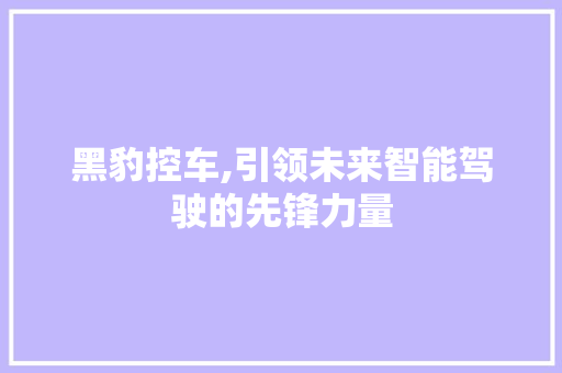 黑豹控车,引领未来智能驾驶的先锋力量
