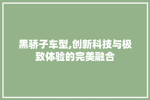 黑骄子车型,创新科技与极致体验的完美融合