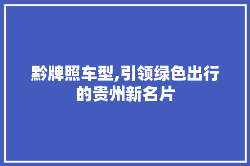 黔牌照车型,引领绿色出行的贵州新名片 车灯配件