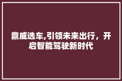 鼎威选车,引领未来出行，开启智能驾驶新时代 新能源汽车