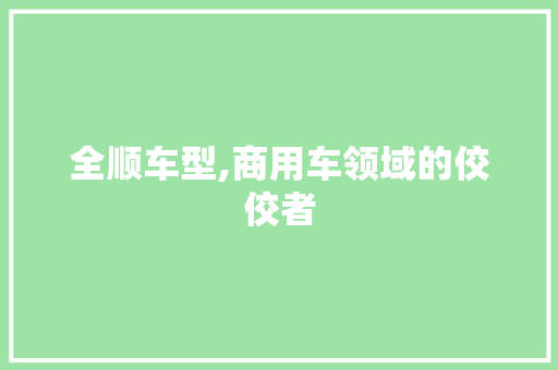 全顺车型,商用车领域的佼佼者