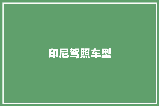 印尼驾照车型