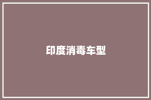 印度消毒车型