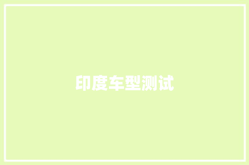 印度车型测试