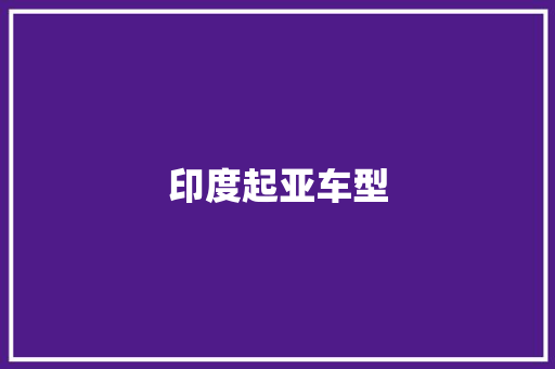 印度起亚车型 发动机配件