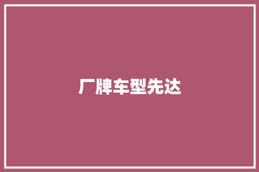 厂牌车型先达