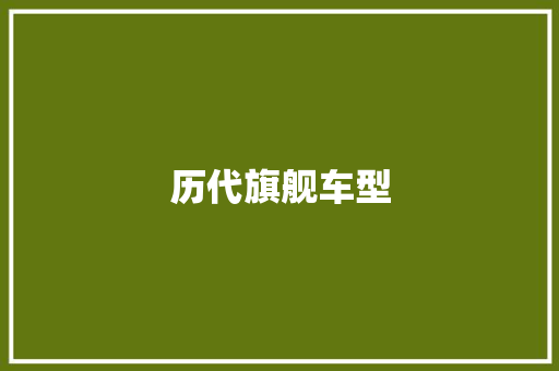历代旗舰车型