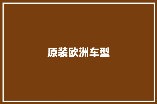原装欧洲车型