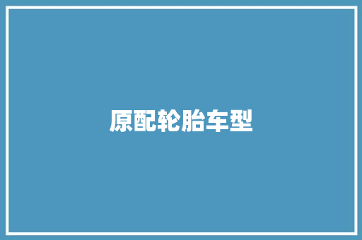 原配轮胎车型