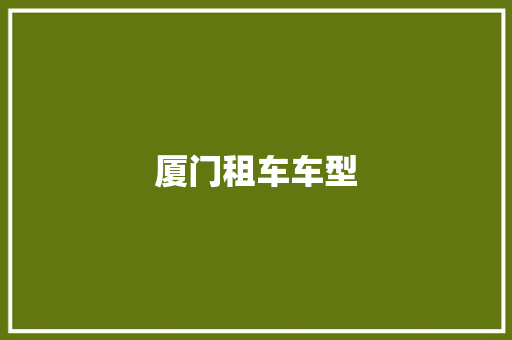 厦门租车车型