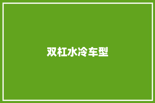 双杠水冷车型