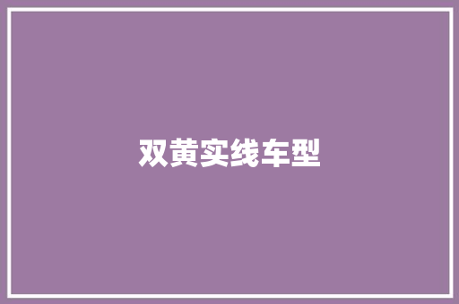 双黄实线车型