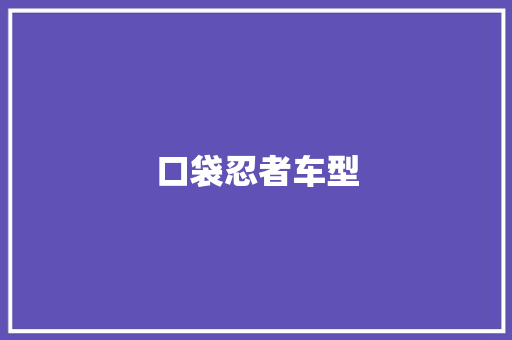 口袋忍者车型