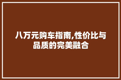 八万元购车指南,性价比与品质的完美融合
