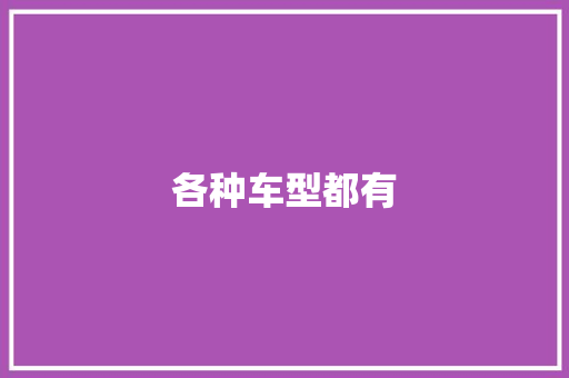各种车型都有