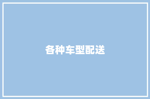 各种车型配送
