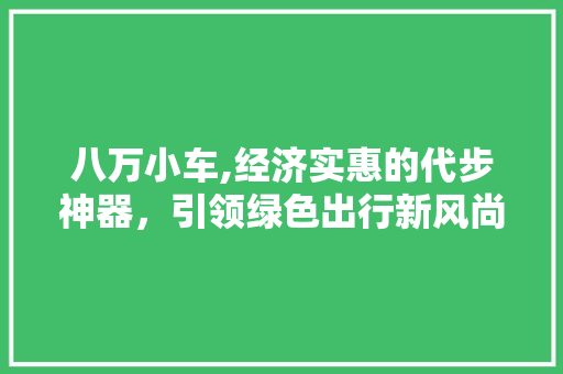 八万小车,经济实惠的代步神器，引领绿色出行新风尚