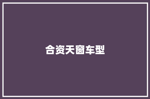 合资天窗车型