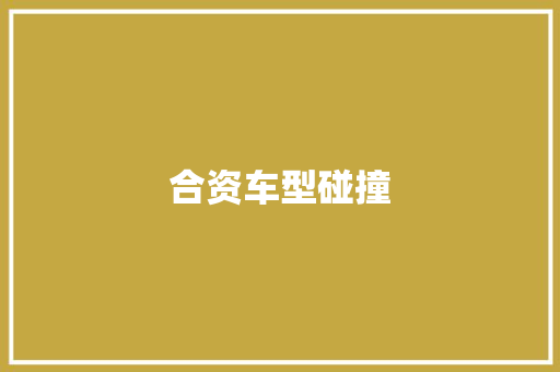 合资车型碰撞