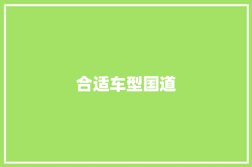 合适车型国道