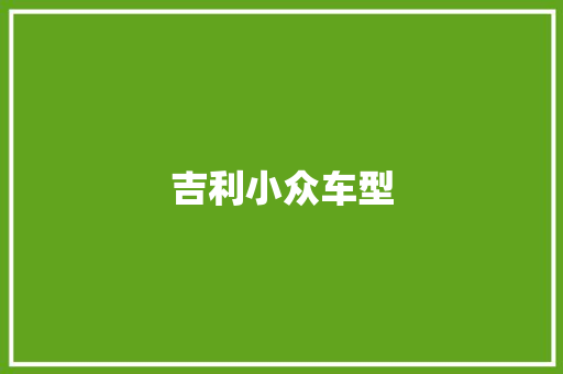 吉利小众车型
