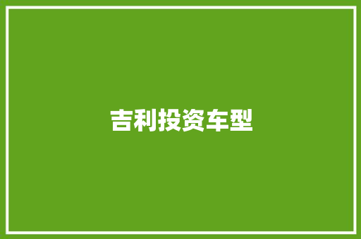 吉利投资车型