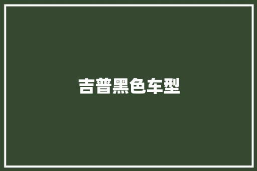 吉普黑色车型