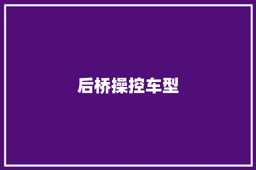后桥操控车型